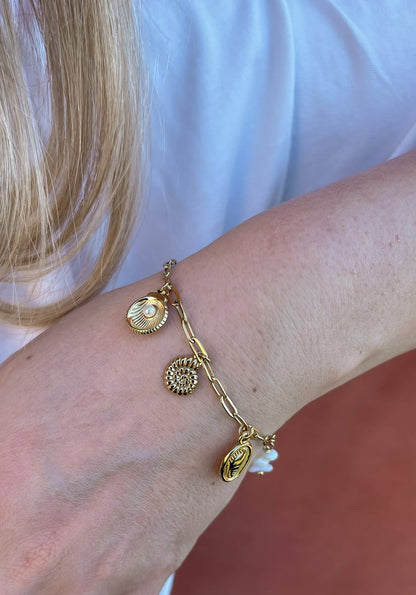 Bracelet seashells