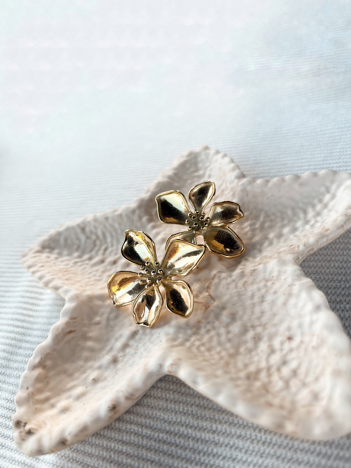 Earrings Aura