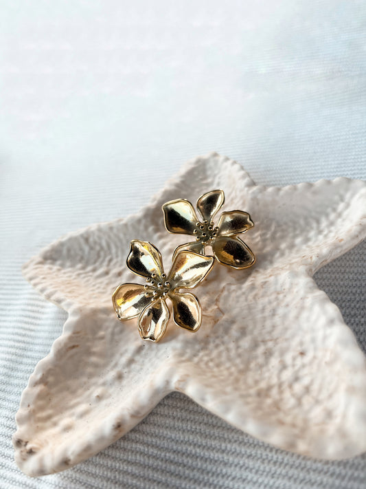 Earrings Aura