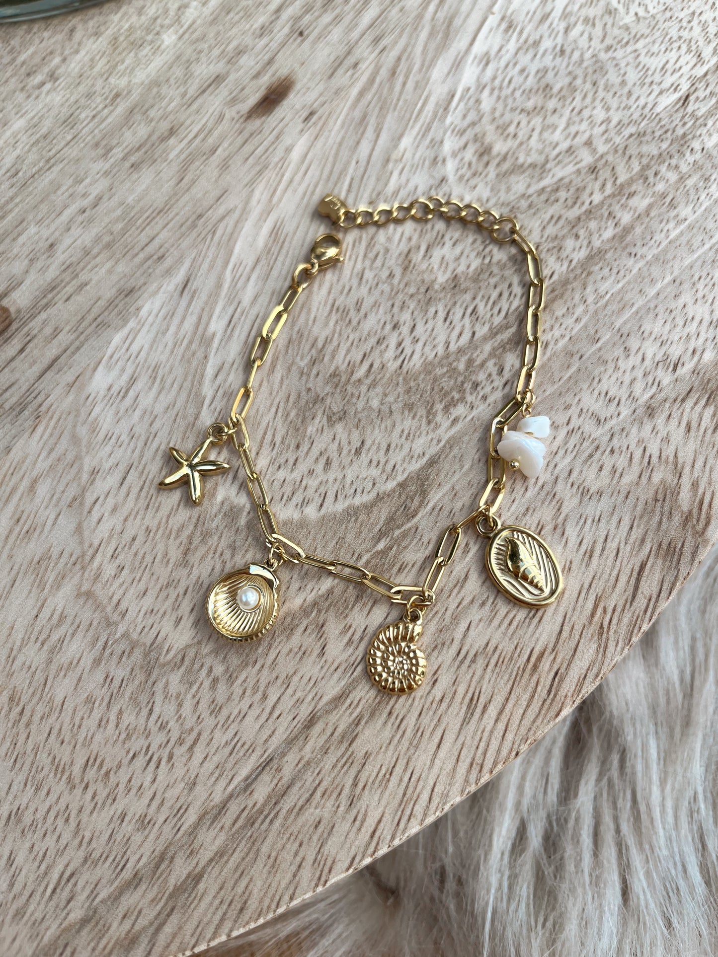 Bracelet seashells