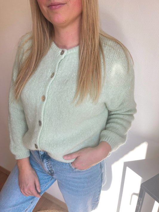 Dorothee pull mint