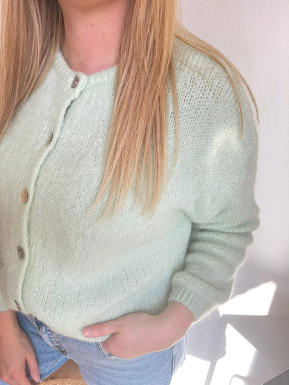 Dorothee pull mint