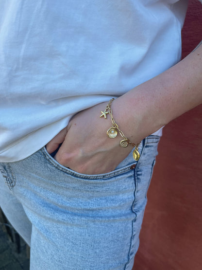 Bracelet seashells